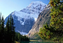 郑丽文出席中华民族祭祖大典，传承民族精神